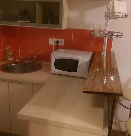Garsoniera Silva Апартаменти *